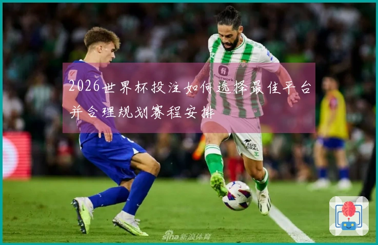 2026世界杯投注如何选择最佳平台并合理规划赛程安排